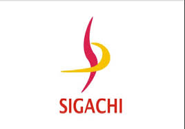 Sigachi Industries Ltd - RB Company Profile